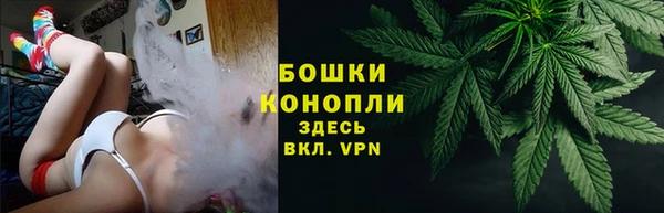 прущие грибы Алзамай