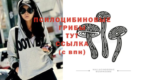 прущие грибы Алзамай