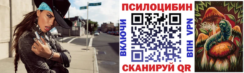 Галлюциногенные грибы Psilocybe  Комсомольск 